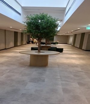  Open-plan office design trends